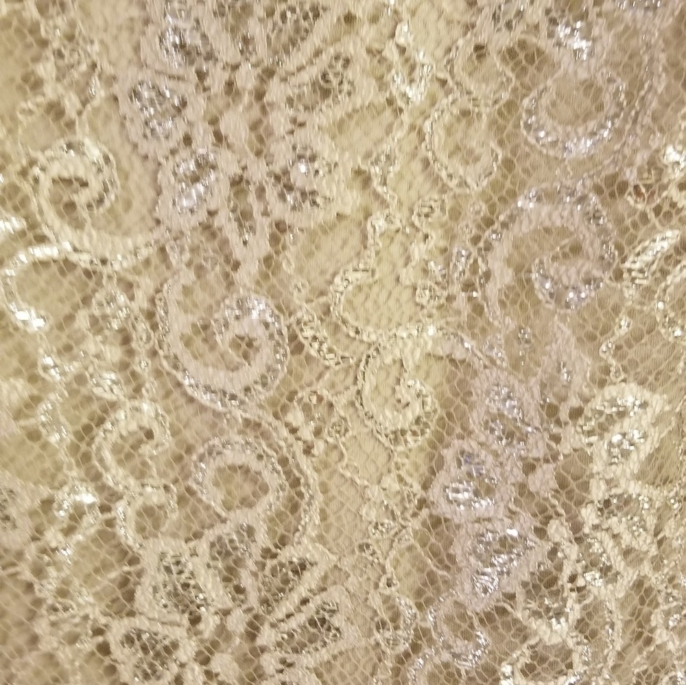🍾 Calvin Klein Champagne Metallic Lace Dress - Picture 3 of 6